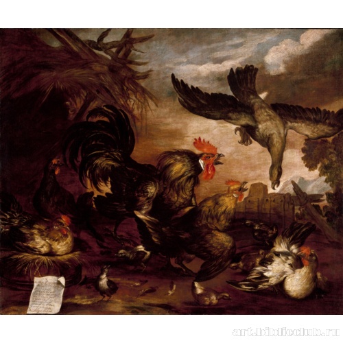 Коршун, атакующий курятник