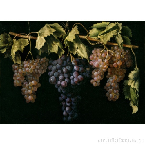 Натюрморт с гроздьями винограда