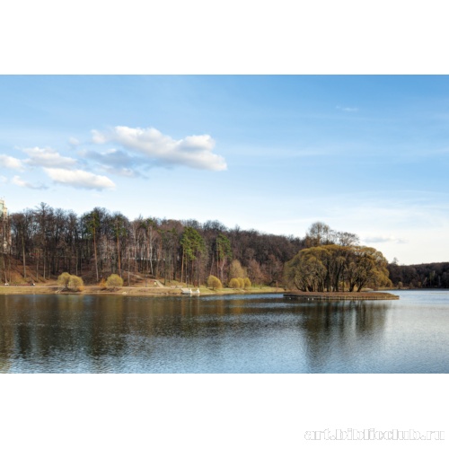 Верхний Царицынский пруд