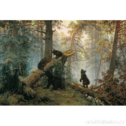 Утро в сосновом лесу