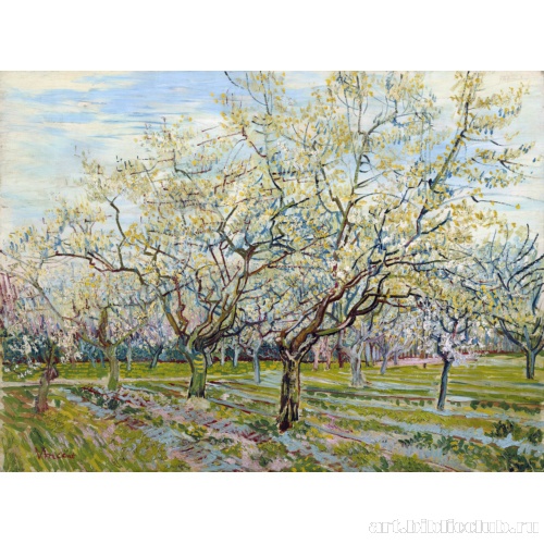 Цветущий фруктовый сад