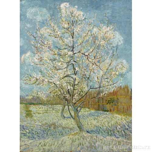 Персиковое дерево в цвету