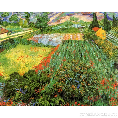 Маковое поле