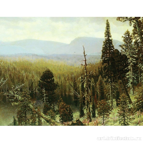 Тайга на Урале. Синяя гора