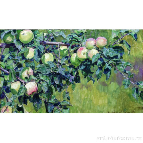 Ветка яблони