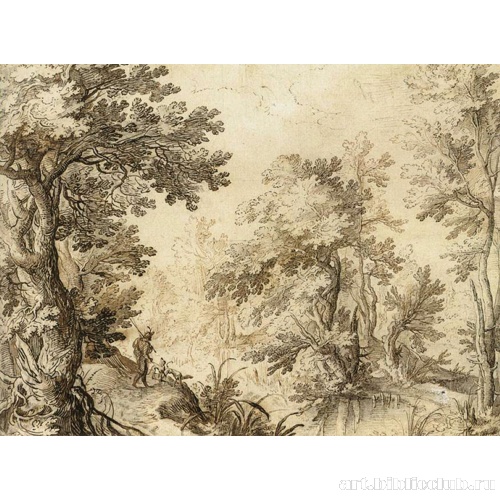 Лесное озеро