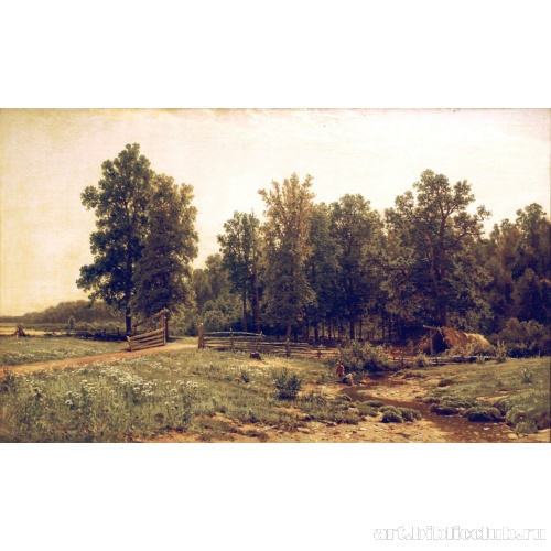 На окраине дубового леса