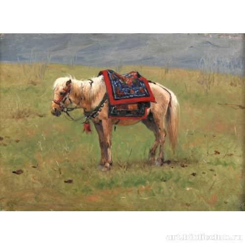 Гималайский пони