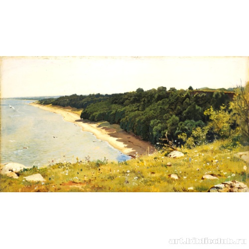 По берегу моря