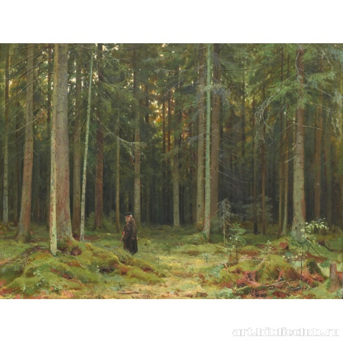 В лесу графини Мордвиновой. Петергоф