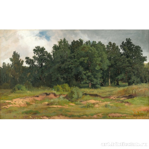 Дубовый лесок в серый день