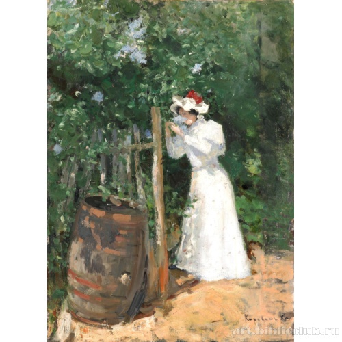 Летом. Сирень