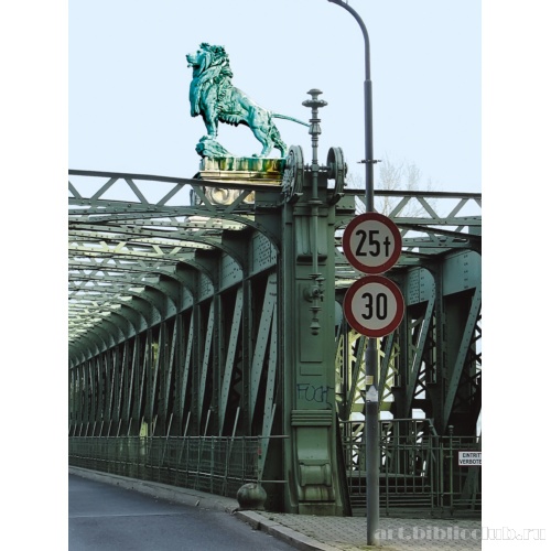 Мост над Нуссдорфским шлюзом. Металлические конструкции