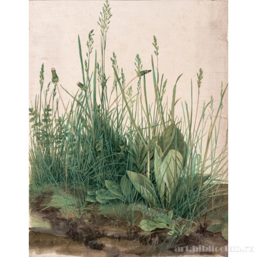 Большой кусок дерна