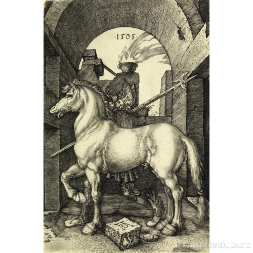 Маленький конь