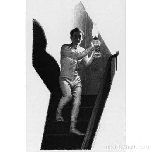 Полуночник