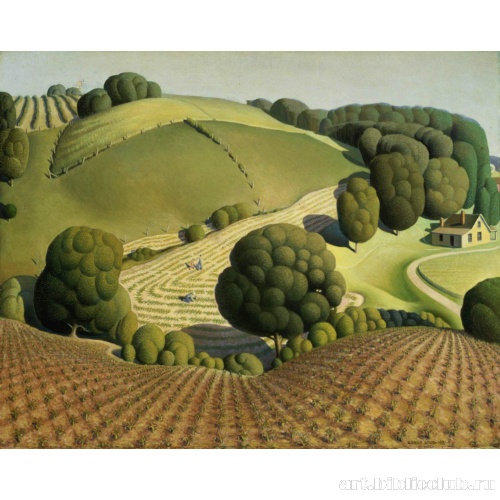 Молодая кукуруза