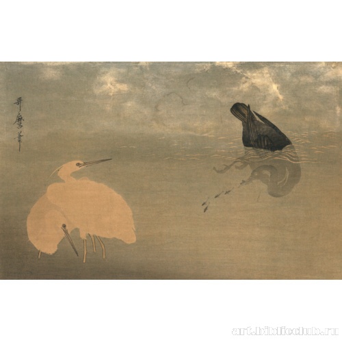 Баклан и белая цапля