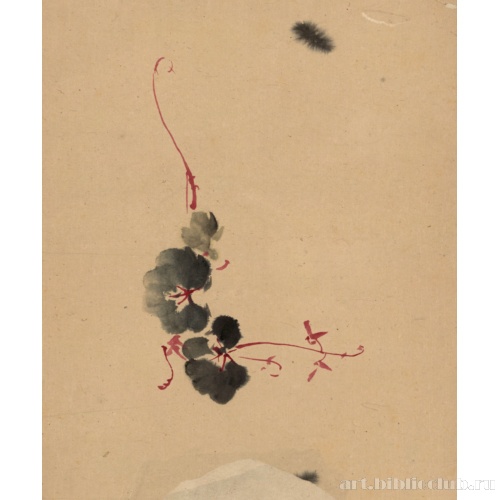 [Вьющийся стебель с цветками]