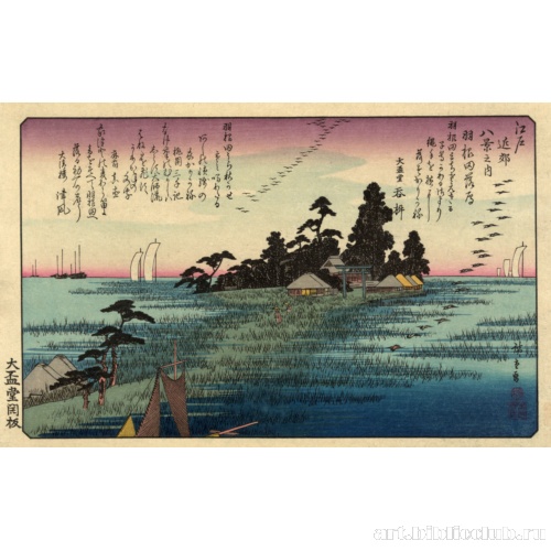 Гуси, садящиеся на воду в районе Ханэда