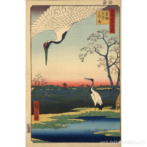 Minowa kanasugi mikawashima