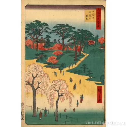 Храмовые Сады, Ниппори