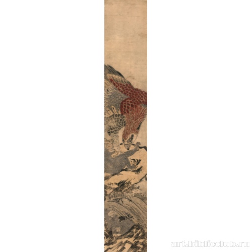 Орел, атакующий обезьяну