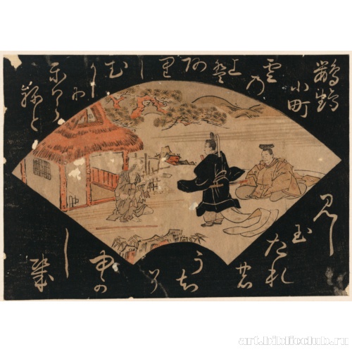 Попугай Комати