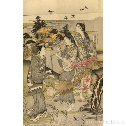 Ржанки в Тамагава