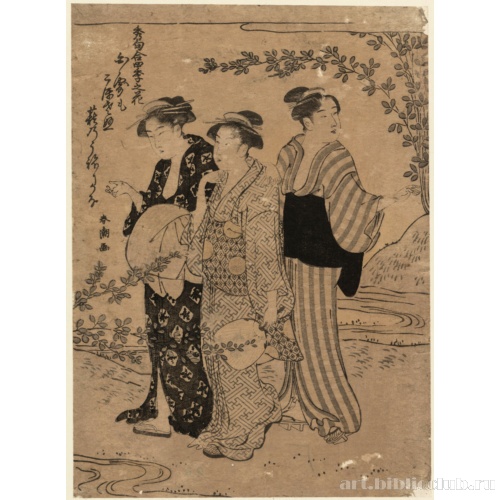 Японский клевер