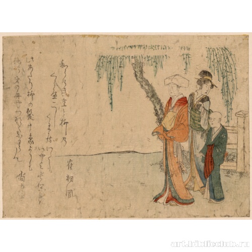 Красавицы под ивой