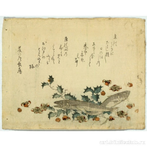 Сардины и сливы на ветке падуба