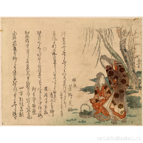 Сбор весенней зелени