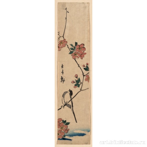 Маленькая птица на ветке дерева кайдо