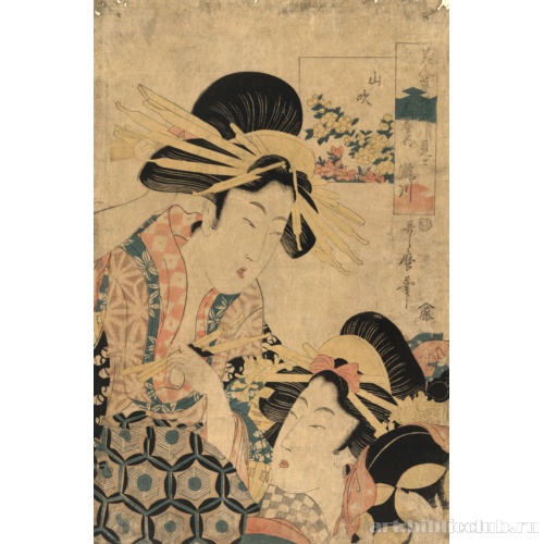 Горная роза: куртизанка Такигава из [публичного дома] Оги-я