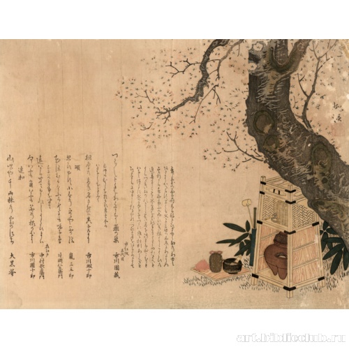 Утварь для чайной церемонии во время пикника