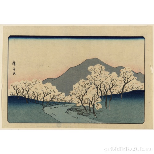 Вишневая роща