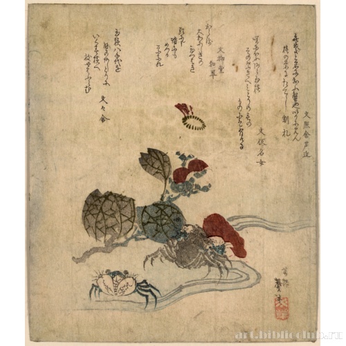 Краб и камелия