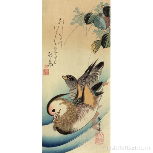 Утки-мандаринки