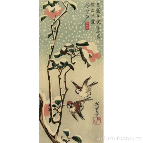 Воробьи и камелии в снегу