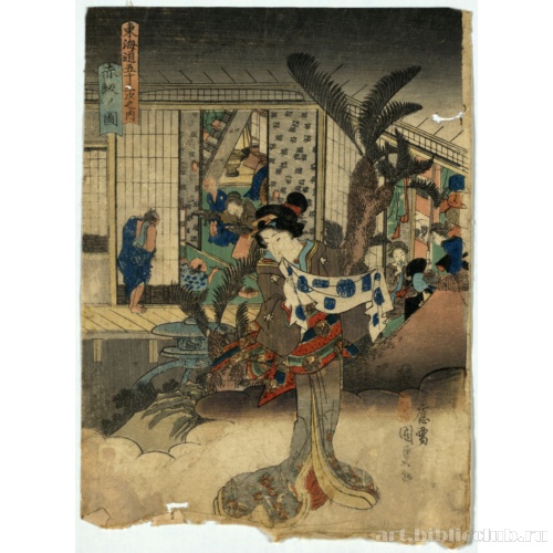 Вид Акасака