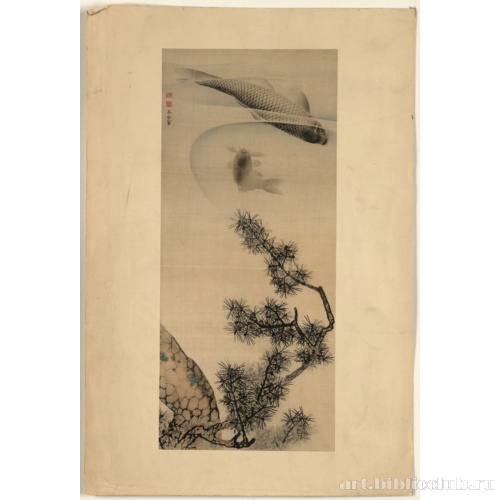 Кои под сосновой веткой