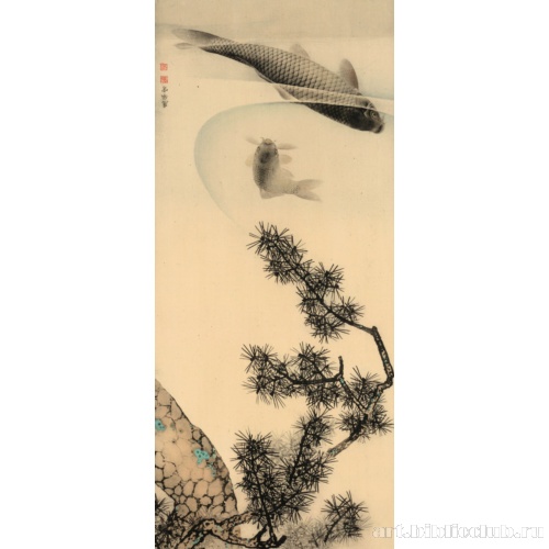 Кои под сосновой веткой