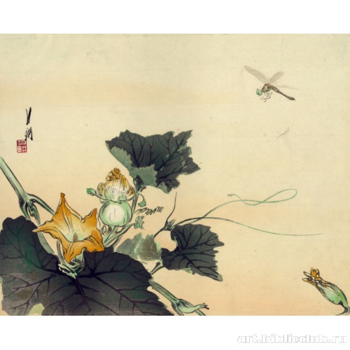 Стрекоза и тыква