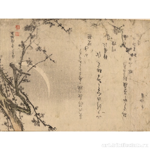 Цветы сливы в третий день нового года