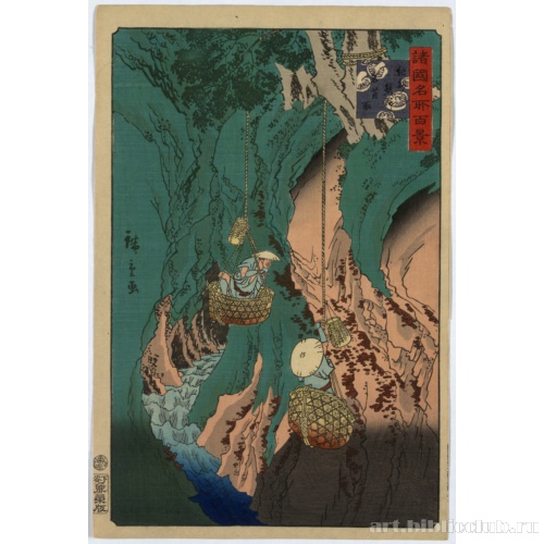 Сбор грибов иватакэ близ Кумано в провинции Кисю