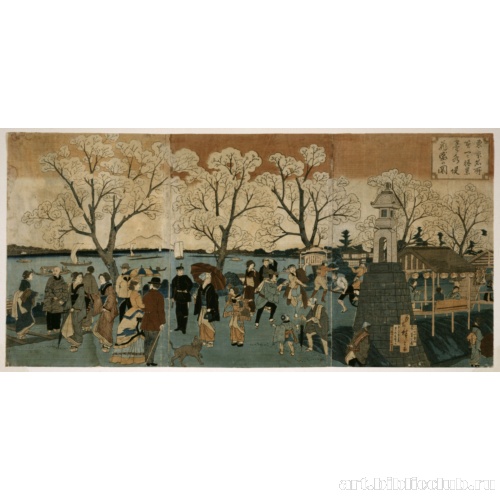 Цветущие вишни в в период полного цветения вдоль реки Сумида