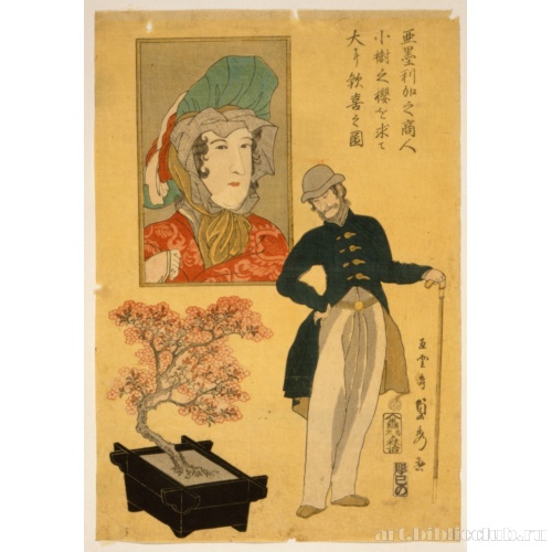 Американский торговец, восхищенный миниатюрным вишневым деревом