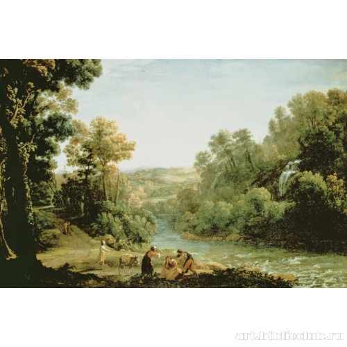 Лесной пейзаж с ручьем