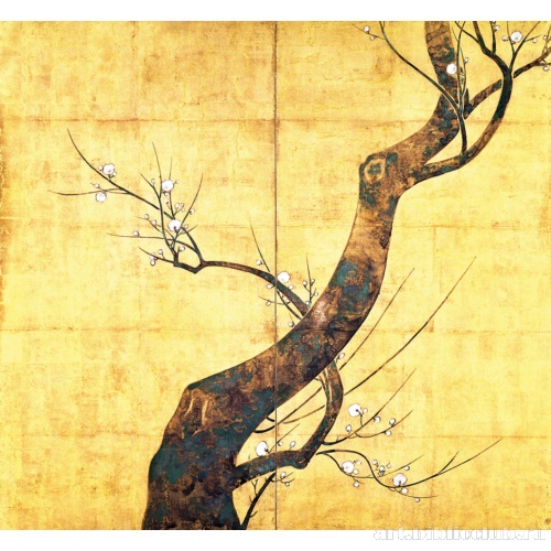 Дерево сливы. Экран